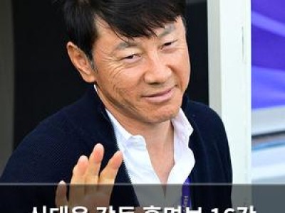 신태용 감독 홍명보 16강 진출 예측