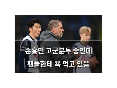 손흥민 고군분투 중인데 팬들한테 욕 먹고 있음